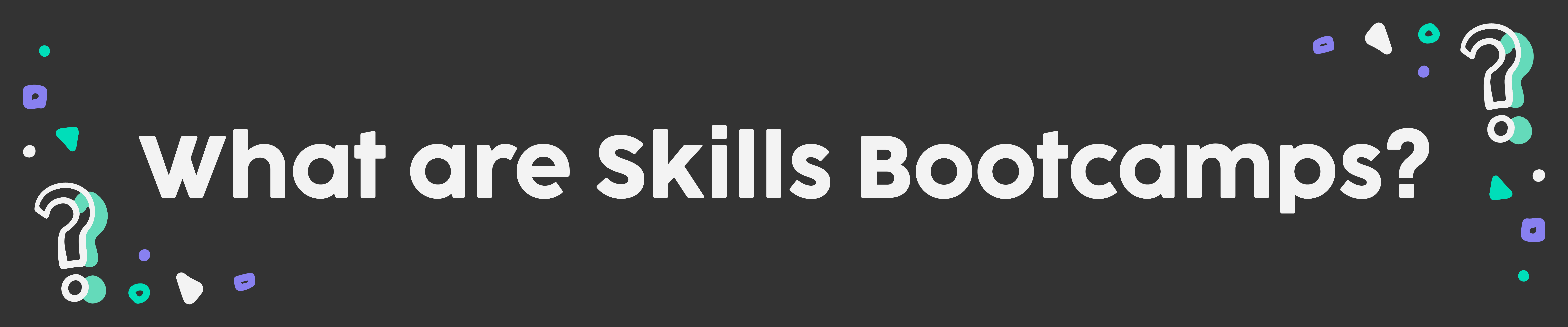 skills bootcamps